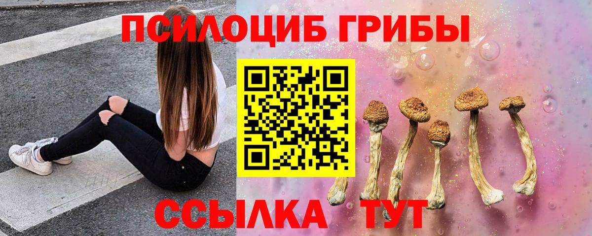 где купить наркоту  Вход с VPN  Изобильный  Псилоцибиновые грибы GOLDEN TEACHER 